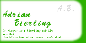 adrian bierling business card