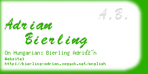 adrian bierling business card